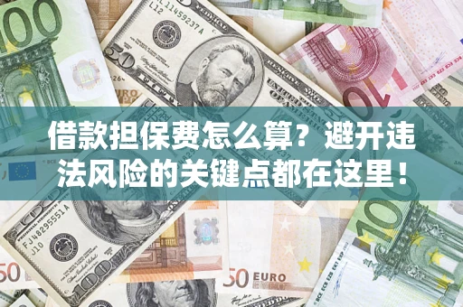 济南借款担保费怎么算？避开违法风险的关键点都在这里！