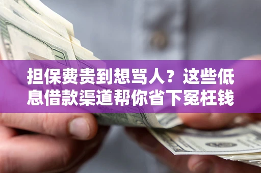 济南担保费贵到想骂人？这些低息借款渠道帮你省下冤枉钱